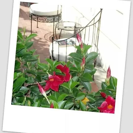 Da Ferro ماساروسا