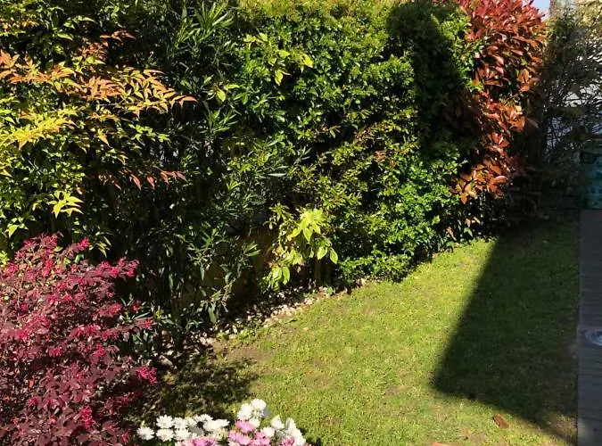 Da Ferro Nocleg ze śniadaniem Massarosa